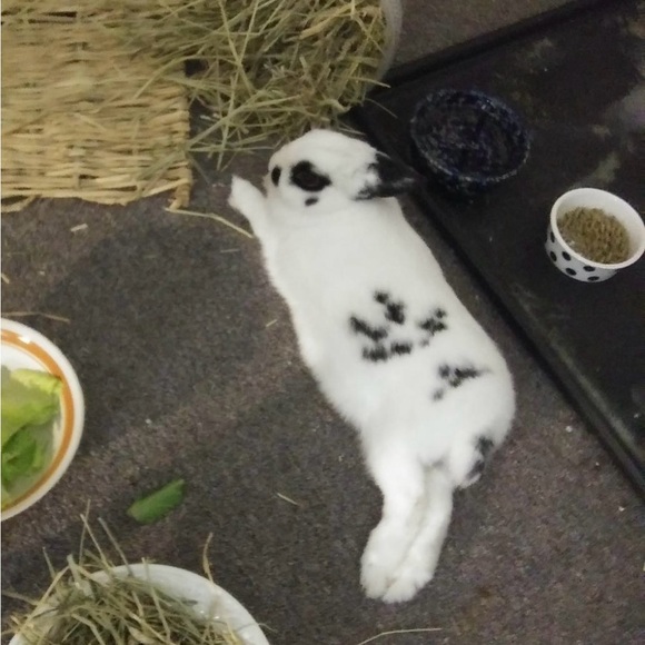 Meet your Posher, Dyanne - Picture 10 of 16